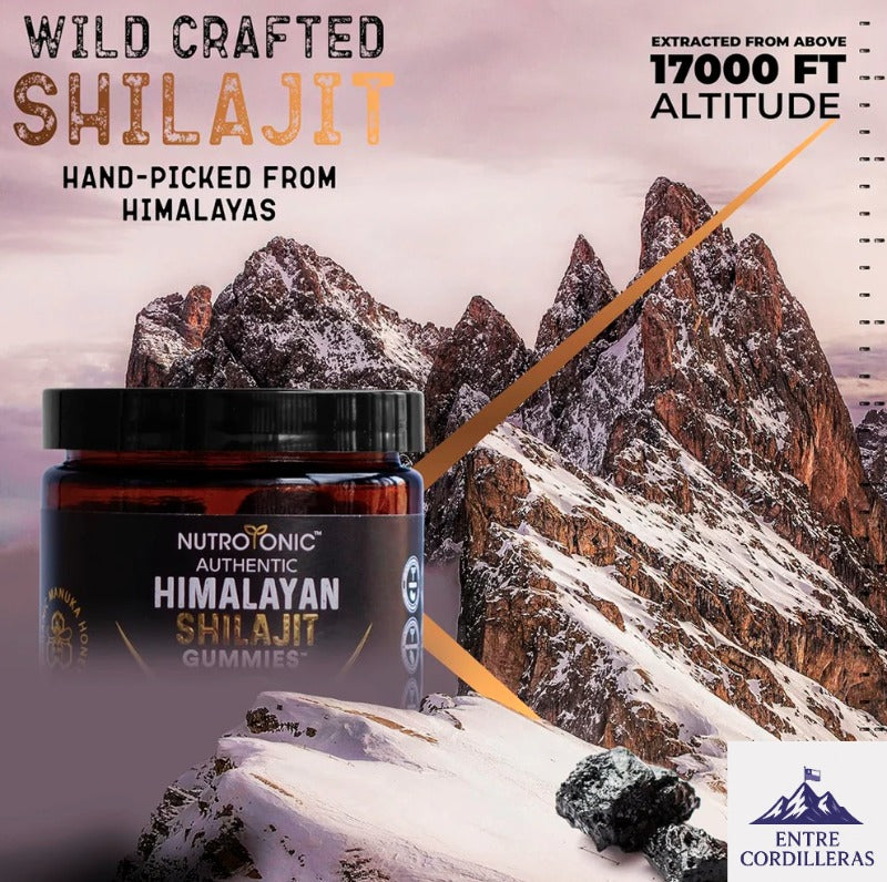 SHILAJIT ORIGINAL HIMALAYA SUMPLEMENTO SHILASTAR™ 2x1