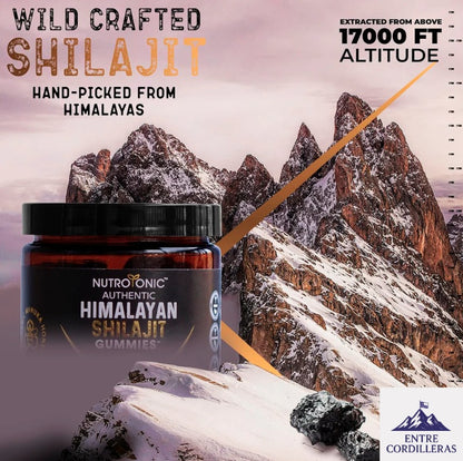 SHILAJIT ORIGINAL HIMALAYA SUMPLEMENTO SHILASTAR™ 2x1