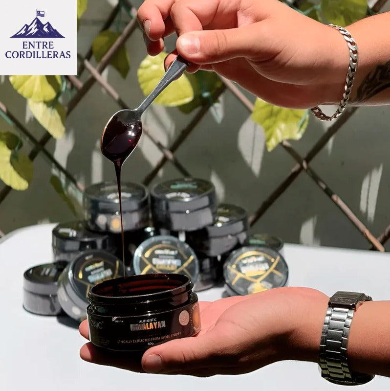 SHILAJIT ORIGINAL HIMALAYA SUMPLEMENTO SHILASTAR™ 2x1